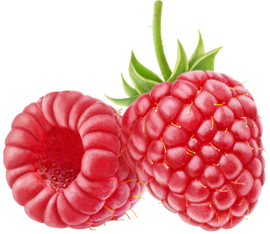 Two Isolated Raspberries